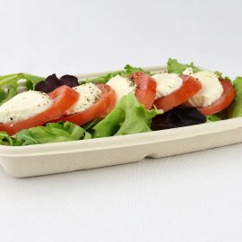 600ml Rectangular Bagasse Containers