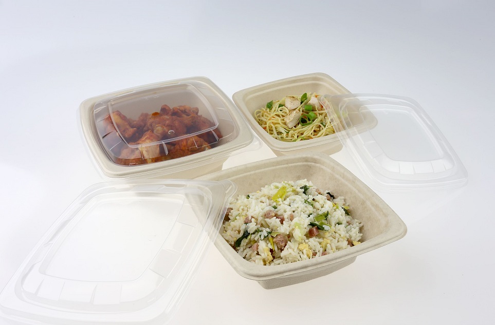 1000ml Wide Square Bagasse Containers - Image 3