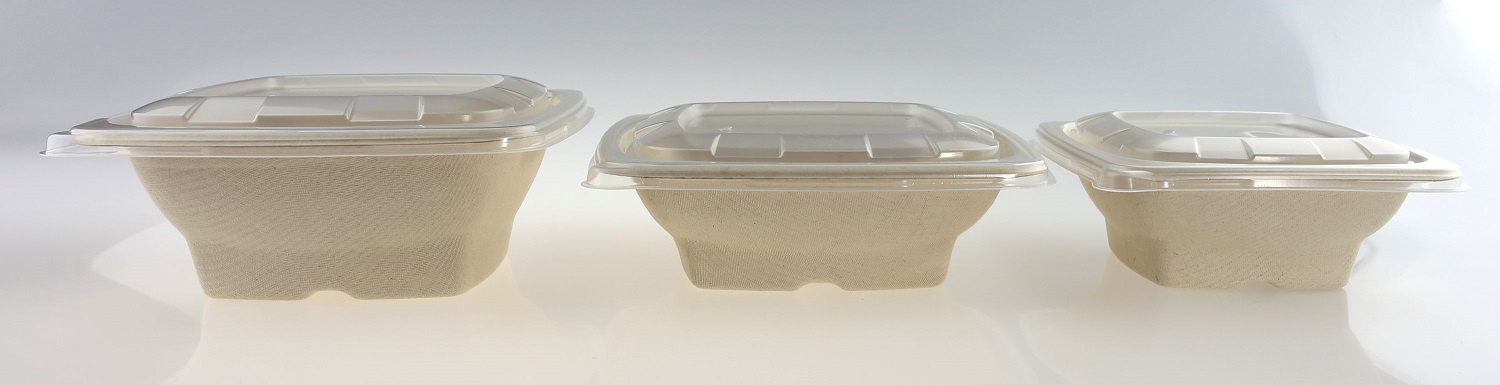 1000ml Wide Square Bagasse Containers - Image 4