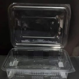 EcoJen 1500ml Rectangular Containers with Hinged Lids – Clear